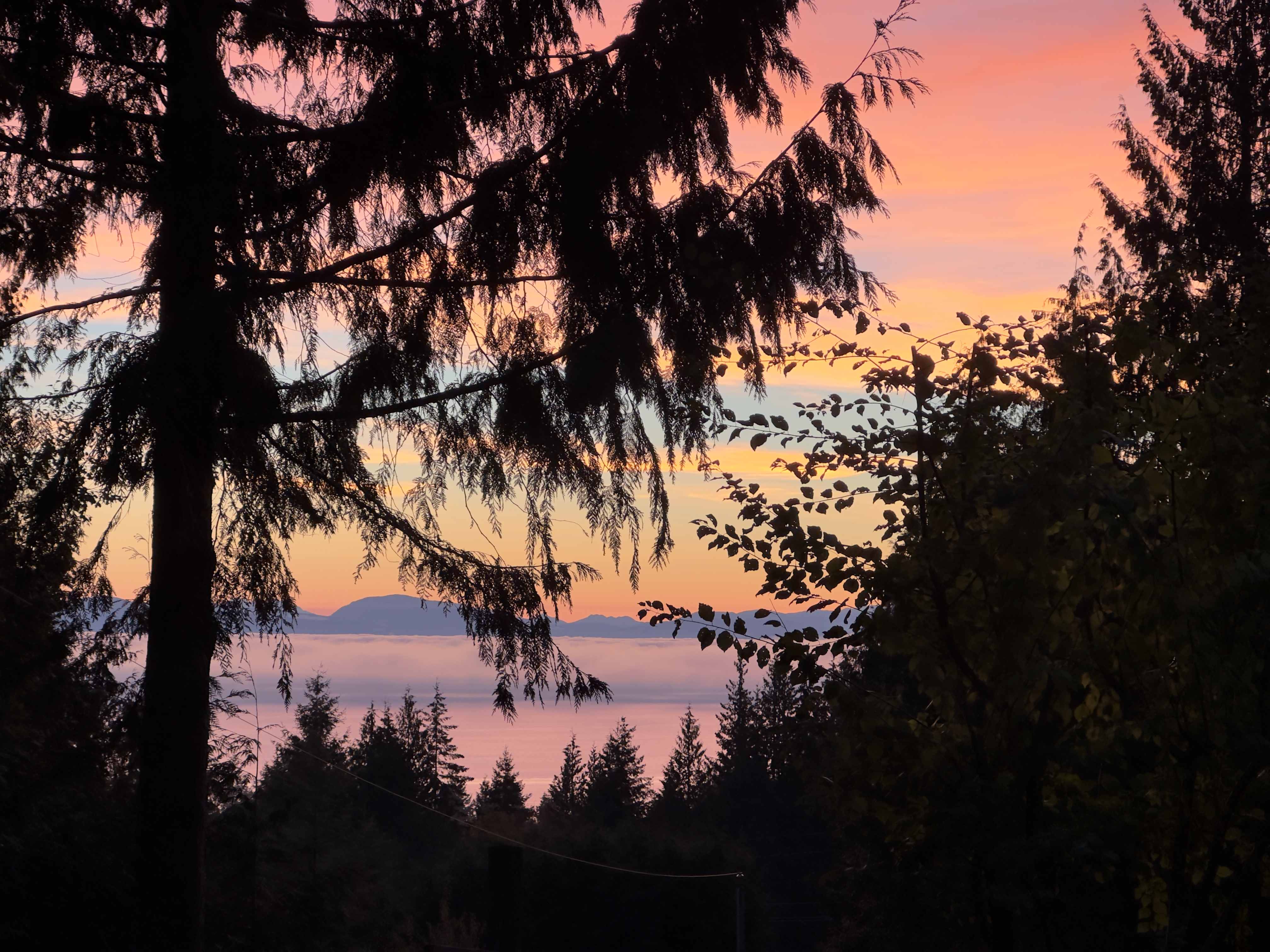 Salish Sea from Roberts Creek